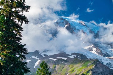 Harika bir yaz gününde, karlı Rainier Dağı..