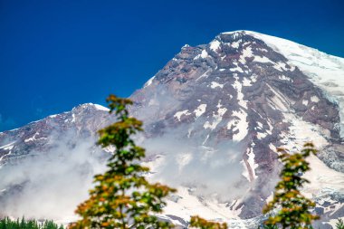 Harika bir yaz gününde, karlı Rainier Dağı..
