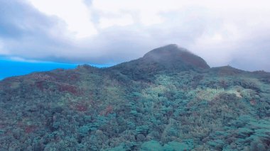 Mahe, Seyşeller. Sisli bir günde dağların ve kıyı şeridinin havadan görünüşü.
