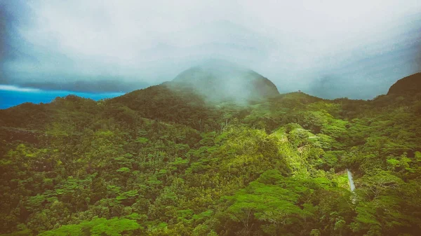 Dron Pohled Krásné Seychelské Pobřeží Slunečného Dne — Stock fotografie
