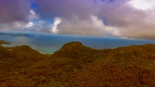 Dron Pohled Krásné Seychelské Pobřeží Slunečného Dne — Stock fotografie