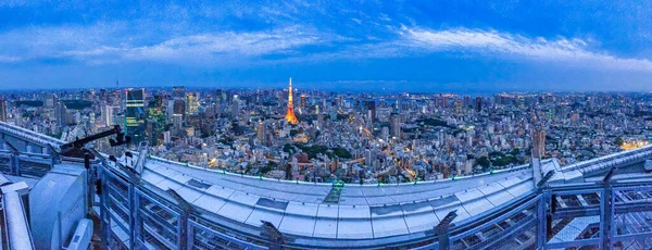 Vista Aérea Noturna Horizonte Tóquio Vista Panorâmica — Fotografia de Stock