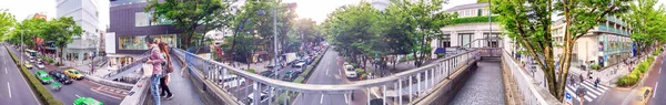Tokio Japan Mai 2016 Touristen Und Einheimische Einer Verkehrsreichen Einkaufsstraße — Stockfoto