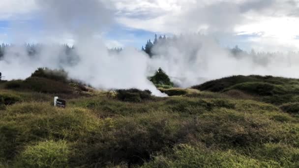 Powerful geysers of Rotorua, New Zealand — Stock Video