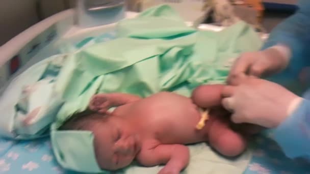 Helt nya Baby.Nyfödd baby flicka att få kontrolleras av läkaren — Stockvideo