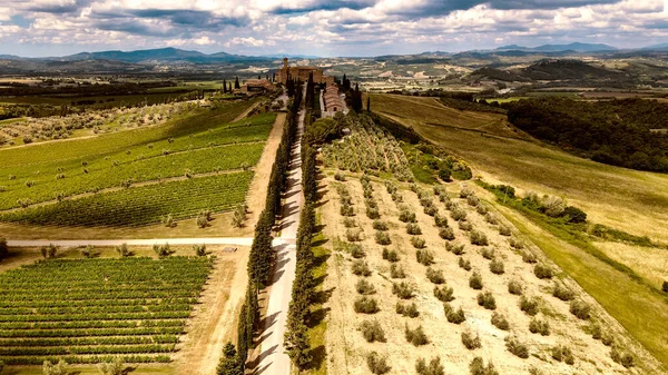 Veduta Aerea Del Castello Banfi Dal Drone Toscana Stagione Primaverile — Foto Stock