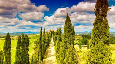 Tuscany 'deki insansız hava aracından Banfi Kalesi' nin hava görüntüsü, bahar mevsimi..