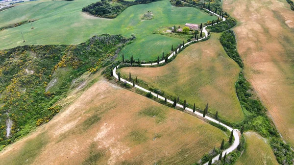 Famosa Colina Ciprés Monticchiello Toscana Vista Aérea Desde Dron Temporada —  Fotos de Stock