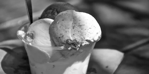 Кубок Мороженому Квинсленде — стоковое фото