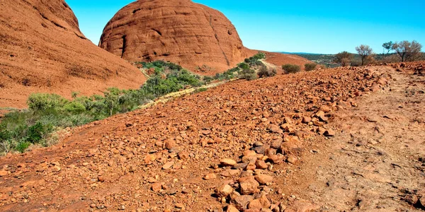 Heller Und Sonniger Tag Australischen Outback — Stockfoto