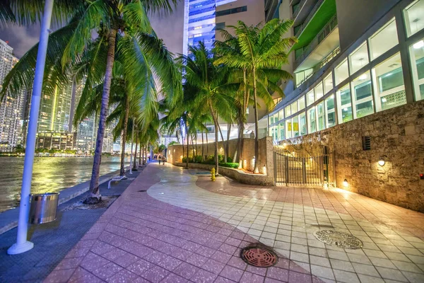 Miami Febrero 2016 Vista Nocturna Los Rascacielos Del Centro Miami — Foto de Stock