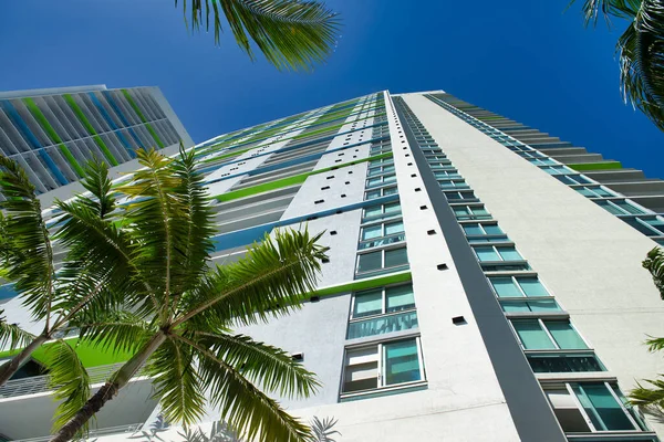 Rascacielos Del Centro Miami Hermoso Día Soleado Florida — Foto de Stock