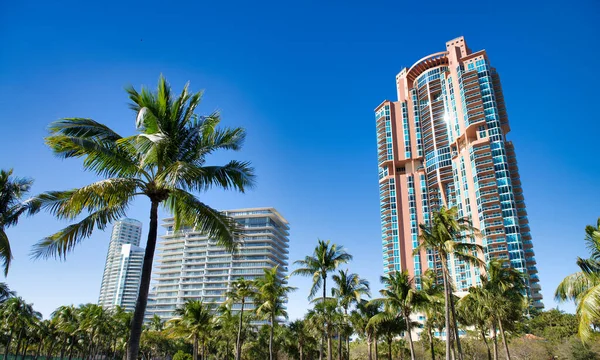 フロリダ州サウスポイントパークから青い空のマイアミビーチ高層ビル — ストック写真