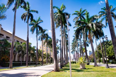 Palm Beach, Florida 'da Royal Palm Way Bulvarı.