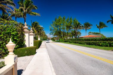 Palmiyeler ve okyanus boyunca şehir gezinti güvertesi, Palm Beach, Florida.