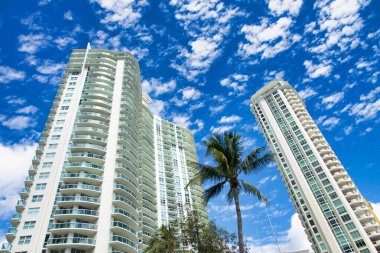 Fort Lauderdale gökdelenleri Palmiyeler ve mavi gökyüzü, Florida
