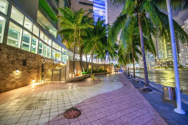 Geceleri Bayfront Park Tan Miami Kadar Gökdelenler — Stok fotoğraf