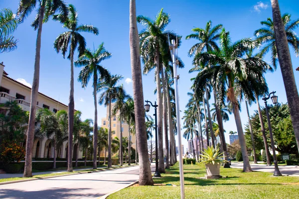 Boulevard Royal Palm Way Palm Beach Florida — Foto de Stock