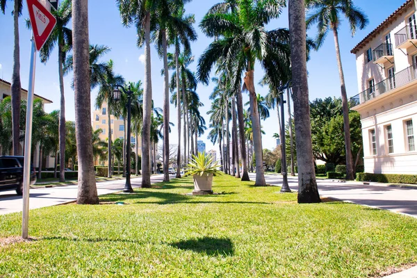 Royal Palm Way Boulevard Palmenstrand Florida — Stockfoto