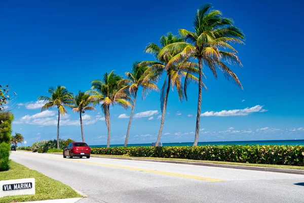 Playa Palma Febrero 2016 Tráfico Urbano Día Soleado Largo Del — Foto de Stock