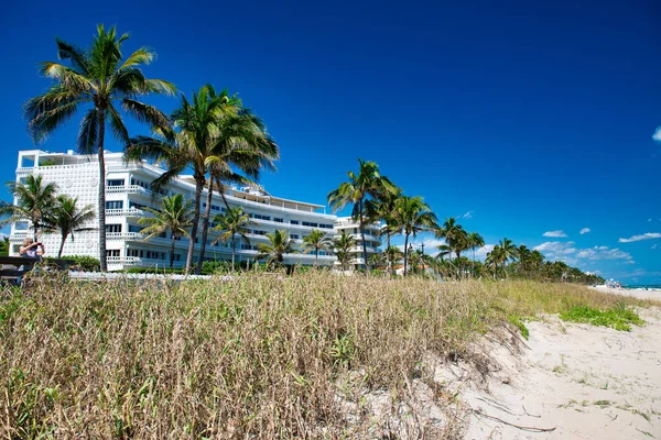 City Promenade Beach Palms Buildings — Stock Photo, Image