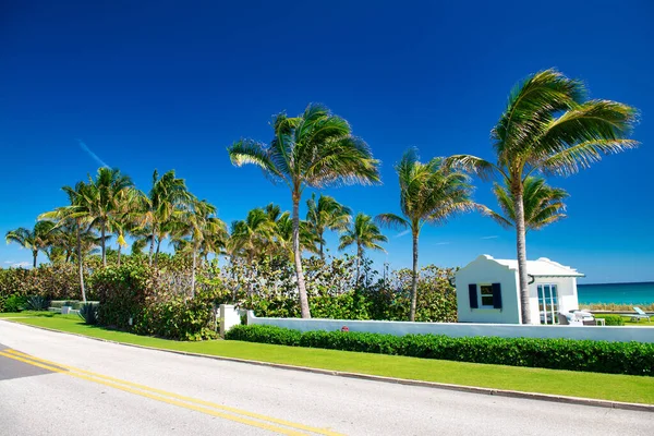 Palmas Oceano Longo Passeio Cidade Palm Beach Flórida — Fotografia de Stock