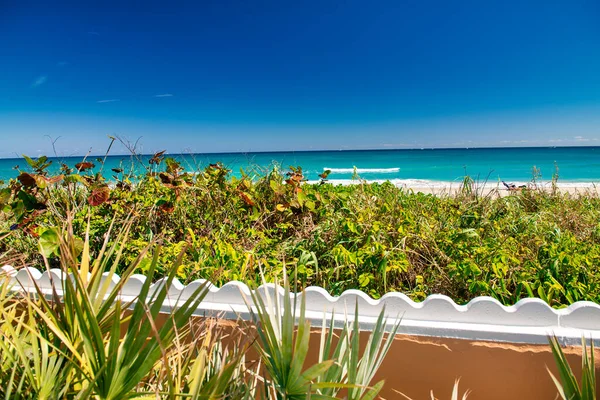 Promenada Palm Beach Oceanem Roślinnością Floryda — Zdjęcie stockowe