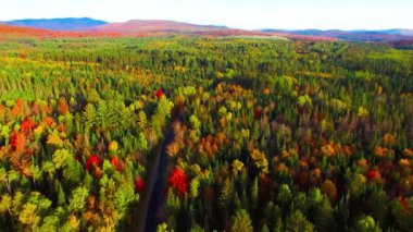 Sonbahar mevsiminde New England yeşillikleri. Hava görünümü.