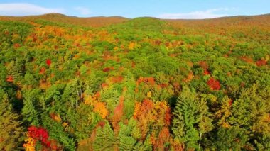 Sonbahar mevsiminde New England yeşillikleri. Hava görünümü.