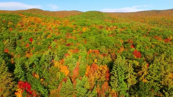 New England Gebladerte Het Najaar Luchtzicht — Stockvideo