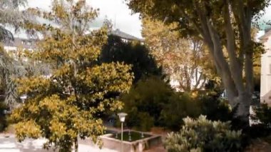 HEIDELBERG, ALMANY - EYLÜL 2019: Heidelberg şehir manzarası yaz mevsimi manzarası, Almanya