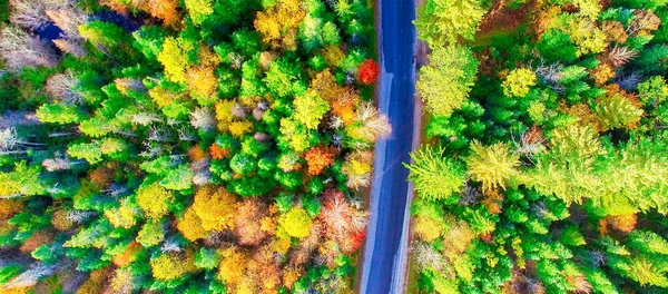 Леса Осенью Вид Воздуха Новой Англии Дорога Через Лес — стоковое фото