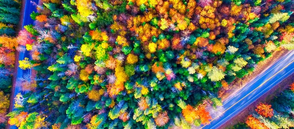 Bosque Follaje Otoño Vista Aérea Nueva Inglaterra Camino Través Del —  Fotos de Stock