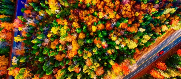 Laubwald Herbst Neuengland Luftaufnahme Straße Durch Den Wald — Stockfoto