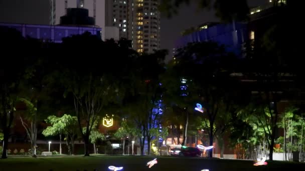 Kytes voadores à noite em um parque da cidade, Cingapura — Vídeo de Stock