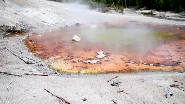 Geysers Mammoth Hot Springs no parque nacional de Yellowstone, WY - EUA — Vídeo de Stock