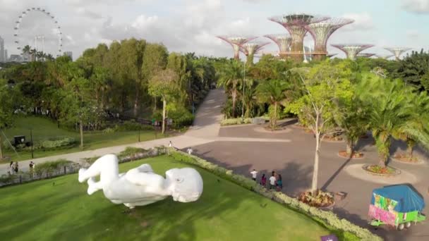 INGAPORE - JANUARI 2020: Singapore från luften. Trädgårdar vid Bay Park i Marina Bay området på en vacker solig eftermiddag — Stockvideo