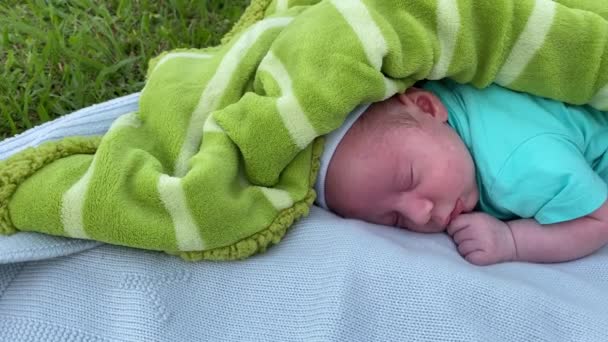 Pasgeboren baby liggend op het gras in het park in de zomer bij zonsondergang, slow motion — Stockvideo
