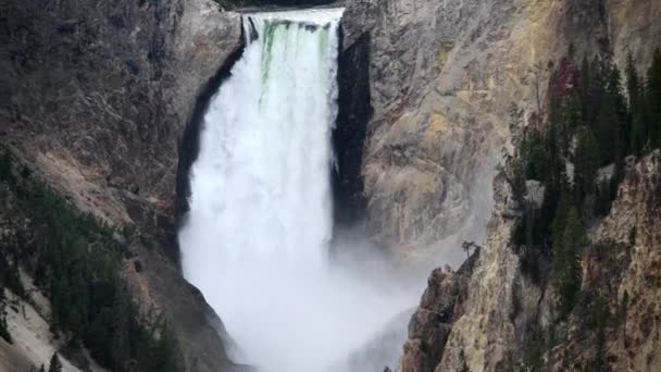 Lower Falls, Yellowstone Canyon, Wyoming - USA — Stock video