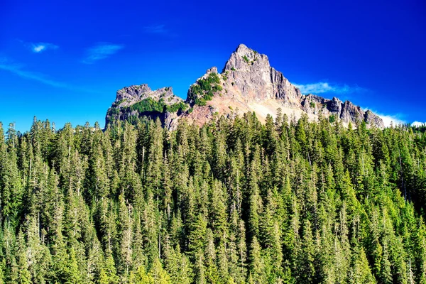 여름철에는 레이니어산 의산들 — 스톡 사진