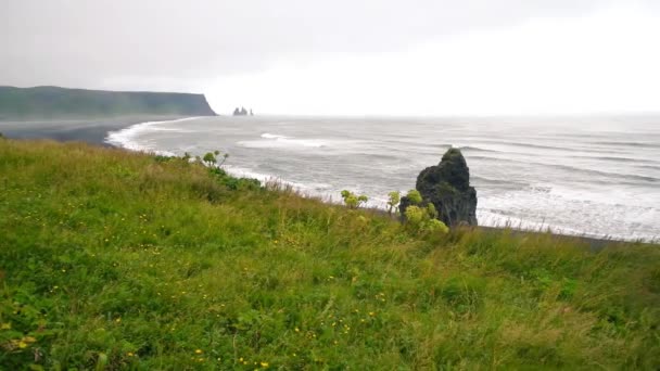 Reinisfjara Black Beach in het zomerseizoen, IJsland — Stockvideo