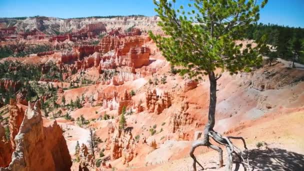 Bryce Canyon Ulusal Parkı 'nın inanılmaz kaya oluşumları. Güzel bir yaz günü manzarası — Stok video