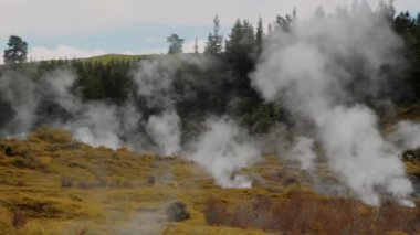 Ay Gayzerleri Parkı 'nın kraterleri, Yeni Zelanda. Jeotermal vadiden gelen buhar. Yavaş çekim