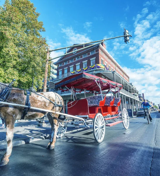 New Orleans Usa February 2016 Red Horse Carriage Jackson Square — Stock Photo, Image