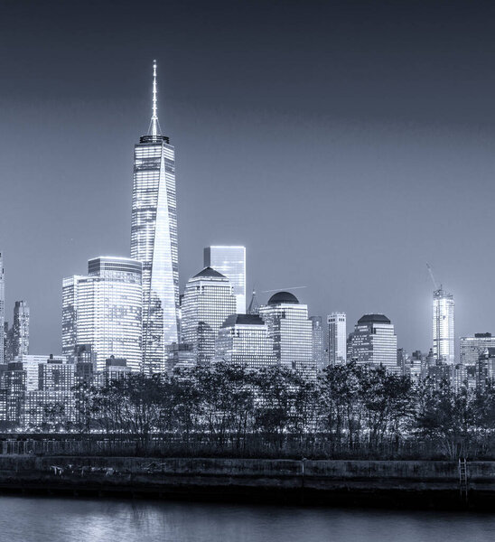 Lower Manhattan night skyline in black and white.