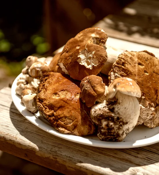 Tác Houbami Boletus Dřevěném Stole — Stock fotografie