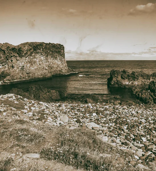 Arnarstapi Bellissima Costa Nella Stagione Estiva Islanda — Foto Stock