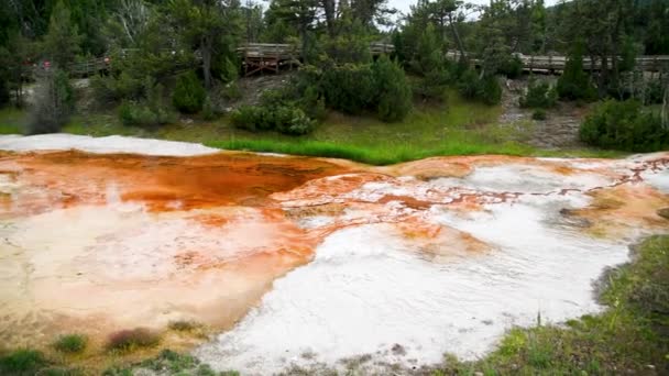 Mammoth Hot Springs in Yellowstone, Wyoming — Stock Video