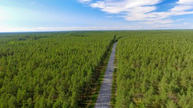 Ormanın karşısındaki güzel yolun havadan görünüşü.