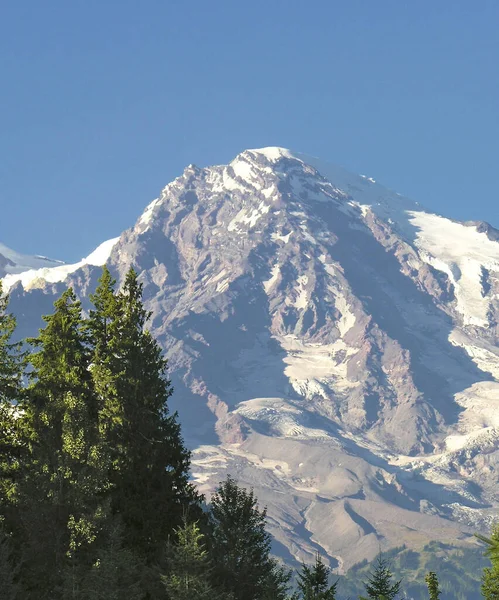 Vegetation Mount Rainier Washington — Stock Photo, Image